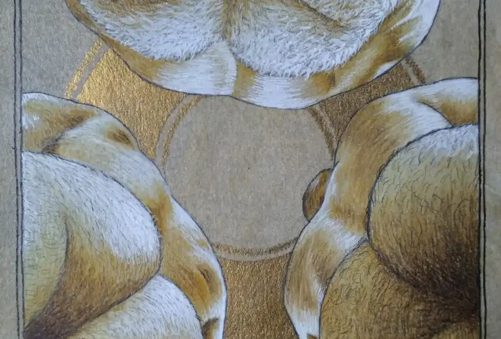Fabrizio tiribilli arte The Circle
