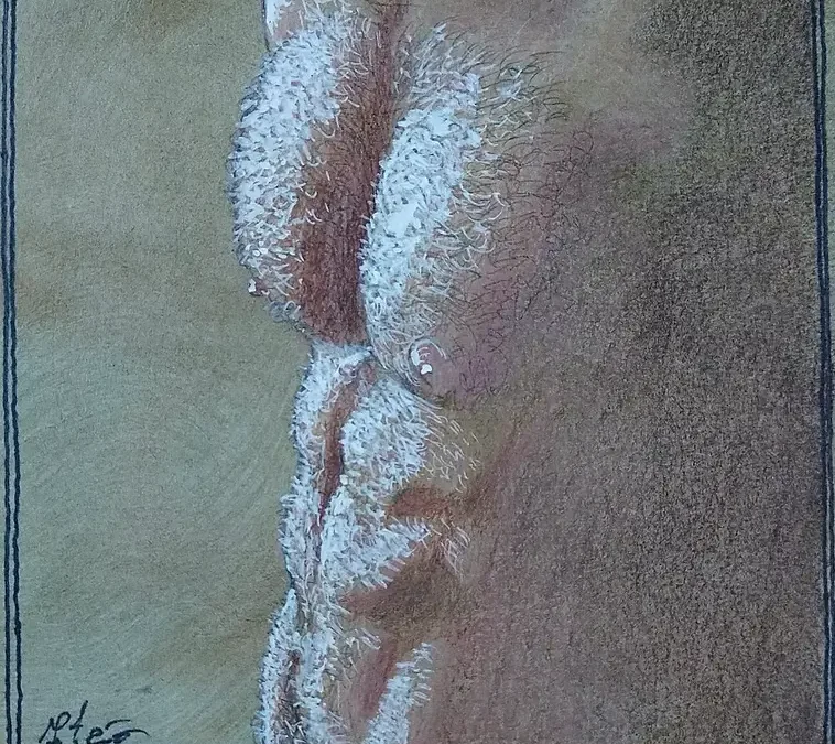Fabrizio tiribilli arte home
